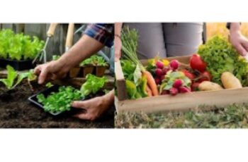 El taller de Huerta Agroecológica y Permacultura llega a Sierra de la Ventana