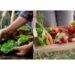 El taller de Huerta Agroecológica y Permacultura llega a Sierra de la Ventana