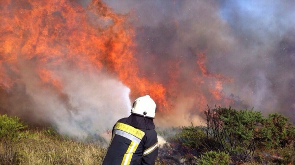 Día del Bombero Voluntario: por qué se celebra el 2 de junio