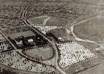 Villa Ventana: Se cumplen 60 años del día que plantaron el árbol N° 50 mil y se hará un acto conmemorativo