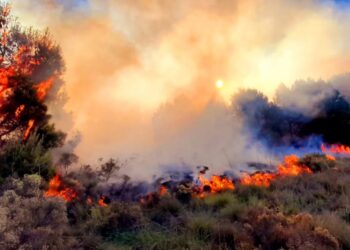 Domingo con dos salidas por incendios forestales en la zona.