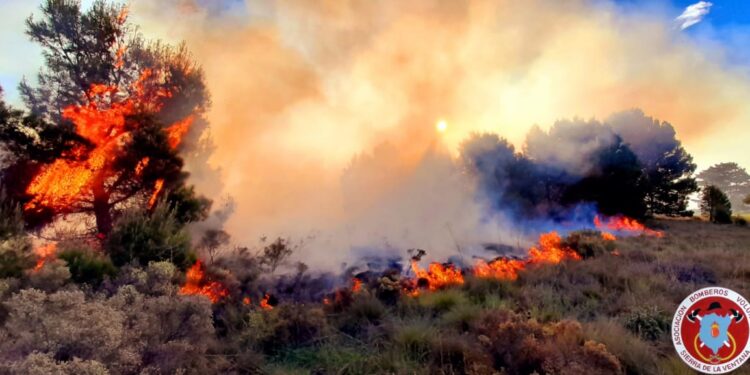 Domingo con dos salidas por incendios forestales en la zona.