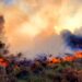Domingo con dos salidas por incendios forestales en la zona.