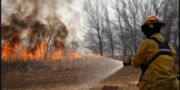 Bomberos voluntarios combaten el incendio en los bosques de Pinamar