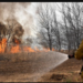 Bomberos voluntarios combaten el incendio en los bosques de Pinamar