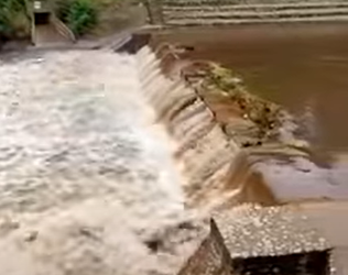 Crecen en gran forma el Sauce Grande y los arroyos de la Comarca