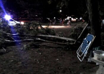 Pudo ser una tragedia: Se desprendió parte de un árbol en el Parque Lineal, una niña de 9 años resultó herida levemente y su familia agradece.