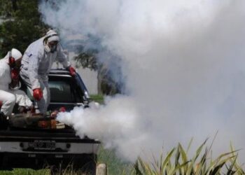 Cronograma de fumigación en el distrito