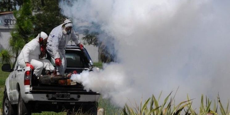 Cronograma de fumigación en el distrito