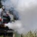 Cronograma de fumigación en el distrito