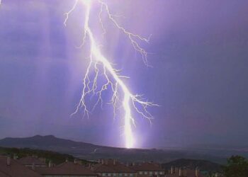 Un «megarrayo», que recorrió Uruguay y Argentina, tiene el nuevo récord mundial de duración