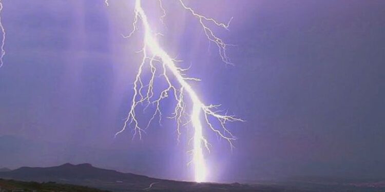 Un «megarrayo», que recorrió Uruguay y Argentina, tiene el nuevo récord mundial de duración