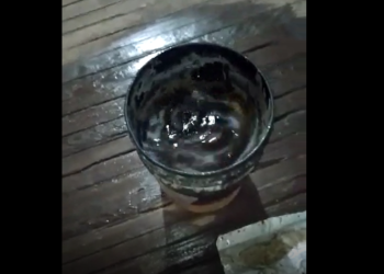 «Invitaría al intendente a que se acerque a mi casa y vea las condiciones que vivo con mis criaturas»