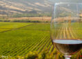 El conflicto bélico entre Rusia y Ucrania dificulta las exportaciones argentinas de vino