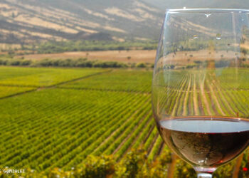 El conflicto bélico entre Rusia y Ucrania dificulta las exportaciones argentinas de vino