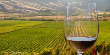 El conflicto bélico entre Rusia y Ucrania dificulta las exportaciones argentinas de vino