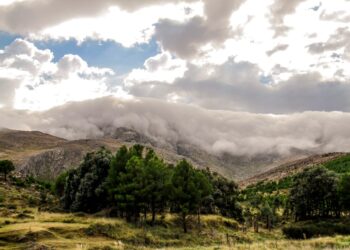 Tras las lluvias se espera buen tiempo para toda la semana