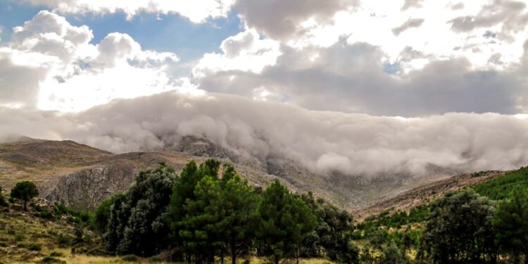 Tras las lluvias se espera buen tiempo para toda la semana
