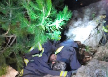 35 personas rastrillaron el lugar: «Si no los encontrábamos el frío de la noche los hubiese matado»