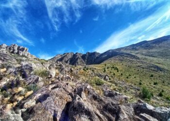 “Tenemos que entender cómo es el cuidado hoy de la naturaleza”
