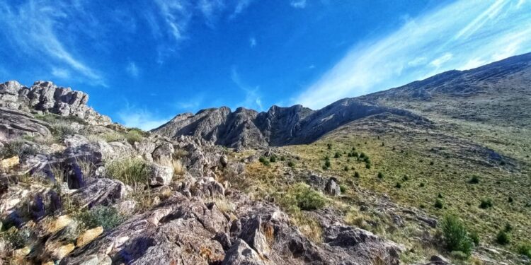 “Tenemos que entender cómo es el cuidado hoy de la naturaleza”