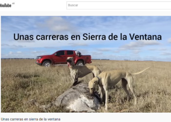 Indignante: Un canal de YouTube difunde tres delitos que cometió en Sierra de la Ventana