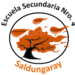 La Escuela de Educación Secundaria N° 4 de Saldungaray busca su nombre