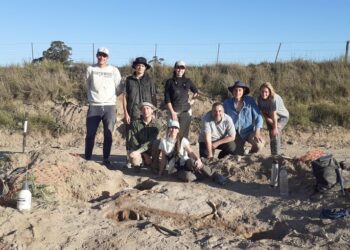 El municipio de Pringles quiere hacer una calle sobre un sitio paleontológico