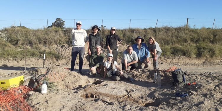 El municipio de Pringles quiere hacer una calle sobre un sitio paleontológico