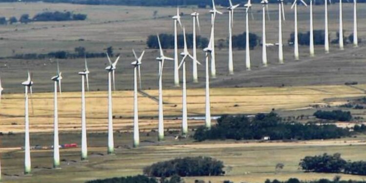 Chubut y Buenos Aires, las provincias con mayor generación de energía eólica