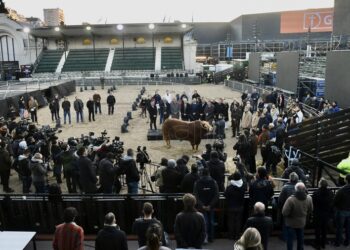 La 134ª Exposición Rural de Palermo volvió después de dos años de ausencia