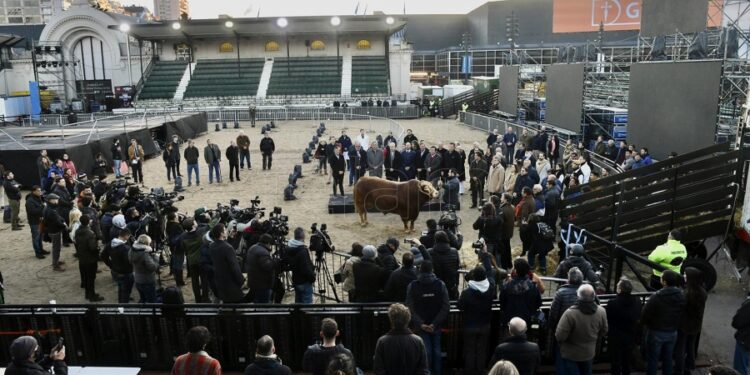 La 134ª Exposición Rural de Palermo volvió después de dos años de ausencia