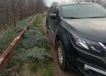 “Según la autopsia el Sr. Conti murió por ahogamiento”