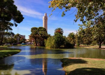 “Salamone estuvo en el lugar y momento justos”