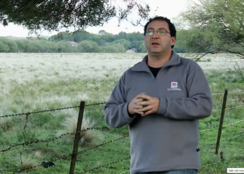 Se producirá cannabis medicinal para el Hospital de Tornquist.