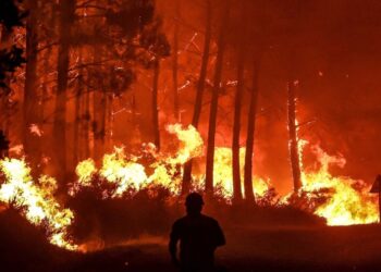 Europa sufre un verano récord de superficie quemada por los incendios