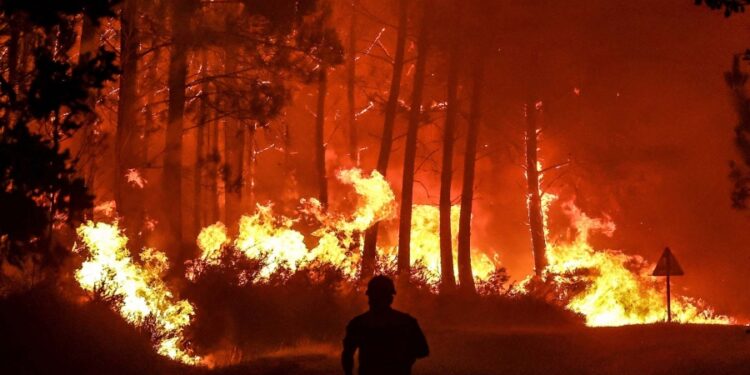 Europa sufre un verano récord de superficie quemada por los incendios