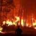 Europa sufre un verano récord de superficie quemada por los incendios