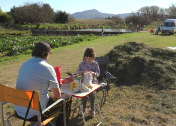 Día de la Primavera en Argentina: ¿es el 21 o el 23 de septiembre? 