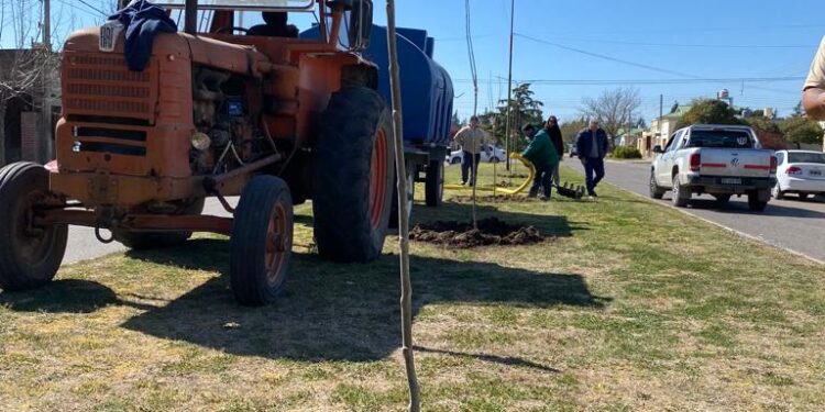 El municipio continúa con la plantación de nuevos árboles en el distrito
