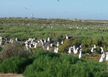Día de las Áreas Protegidas de Latinoamérica y el Caribe. Las Áreas Naturales (des) protegidas de la Provincia de Buenos Aires.