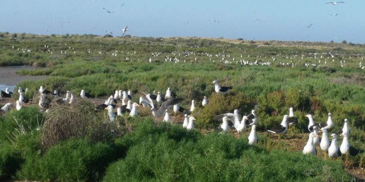 Día de las Áreas Protegidas de Latinoamérica y el Caribe. Las Áreas Naturales (des) protegidas de la Provincia de Buenos Aires.
