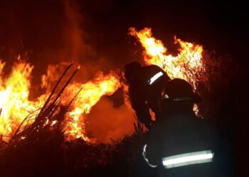 Bomberos de Sierra de la Ventana y Cnel Suarez sofocaron un incendio en las banquinas de la ruta 76