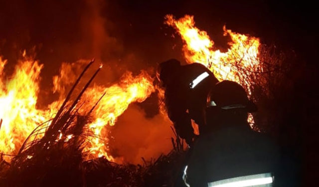 Bomberos de Sierra de la Ventana y Cnel Suarez sofocaron un incendio en las banquinas de la ruta 76