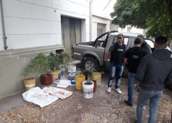 Casación confirmó que los allanamientos al INTA Tornquist fueron inválidos