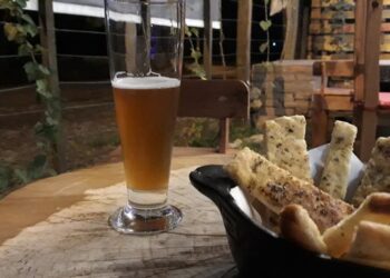 Lager day 2022: llega la 2° edición del día de la cerveza artesanal de la Argentina