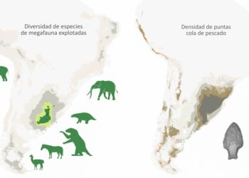 Las armas «cola de pescado» causaron la extinción de la megafauna en Sudamérica
