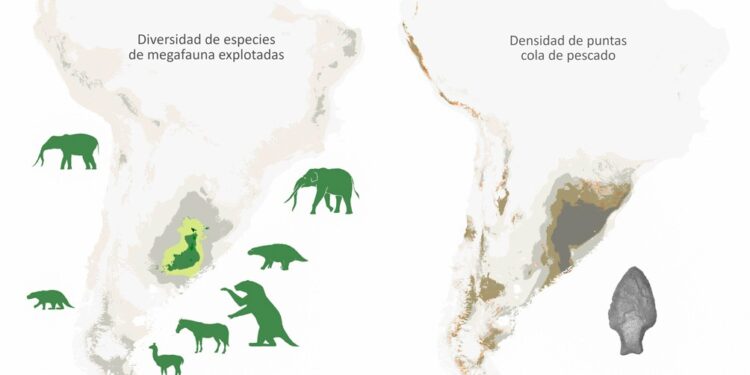 Las armas «cola de pescado» causaron la extinción de la megafauna en Sudamérica