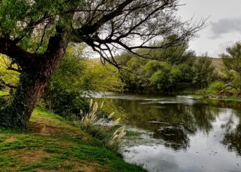 Recurso indispensable: Se está llevando adelante una encuesta enfocada en el agua de la comarca.