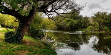 Recurso indispensable: Se está llevando adelante una encuesta enfocada en el agua de la comarca.